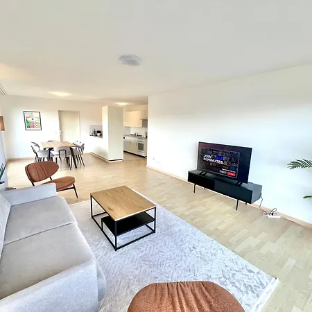 Wa - Penthouse 6 Pax * Цюрих