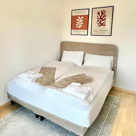 Wa - Penthouse 6 Pax * Цюрих